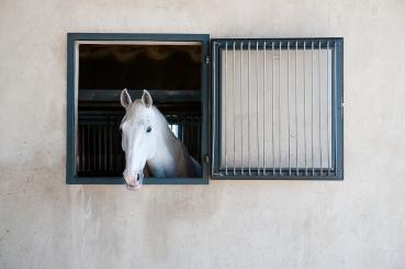 Stallfenster 