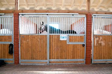 Stallboxen aus feuerverzinkten Profilen 